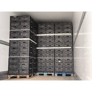 VOLLE LADING, planten in IFCO-dozen, 33 pallets 80x120