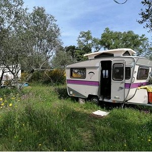Caravan
